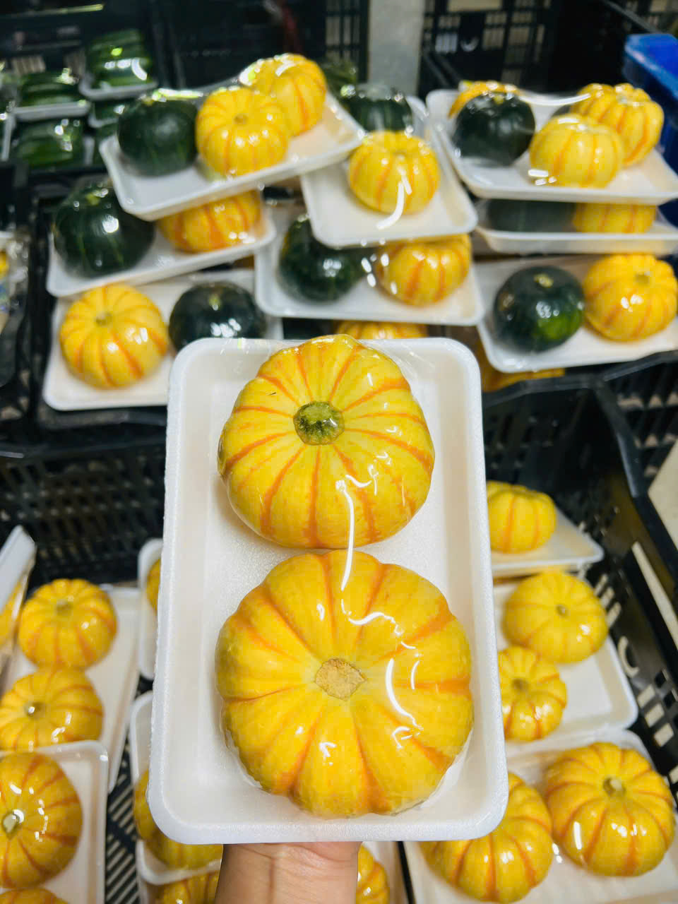 Bí hạt dẻ - Hợp Tác Xã Rau Sạch Nguyễn Minh